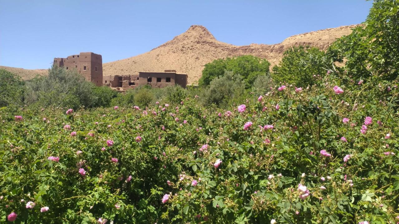 Bed and Breakfast Les Jardins Du M'Goun Kelaat-M'Gouna Екстер'єр фото