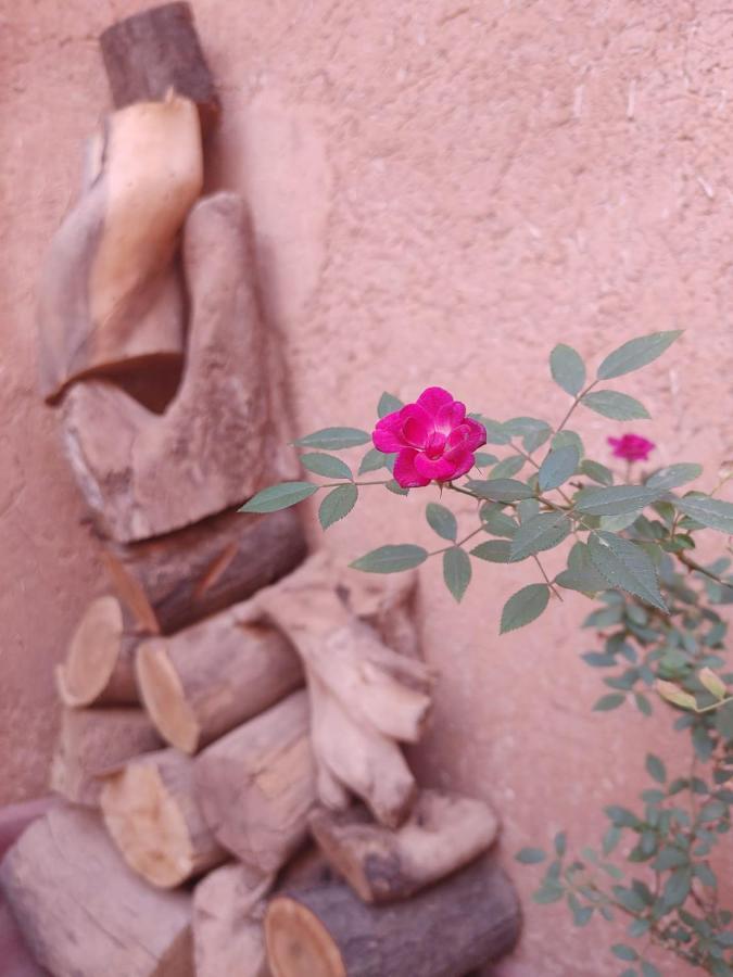 Bed and Breakfast Les Jardins Du M'Goun Kelaat-M'Gouna Екстер'єр фото